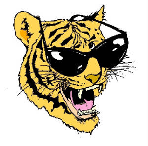 cooltiger.jpg