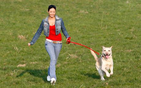 dog-walking_1615559c.jpg