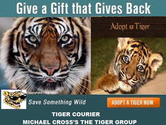 fftiger.jpg
